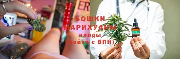 PSILOCYBIN Баксан
